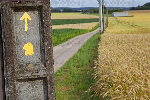 Hiking signs