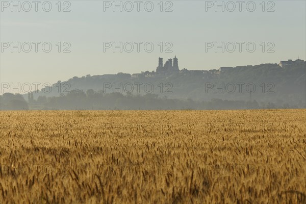 Laon Cathedral in the morning mist