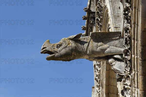 Laon Cathedral