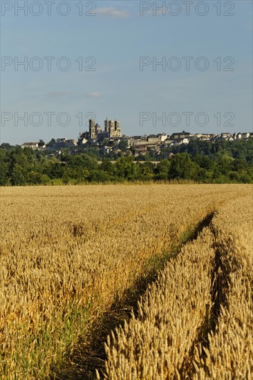 Laon Cathedral in the historic district on a limestone table mountain