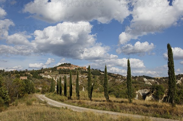 Crete Senesi