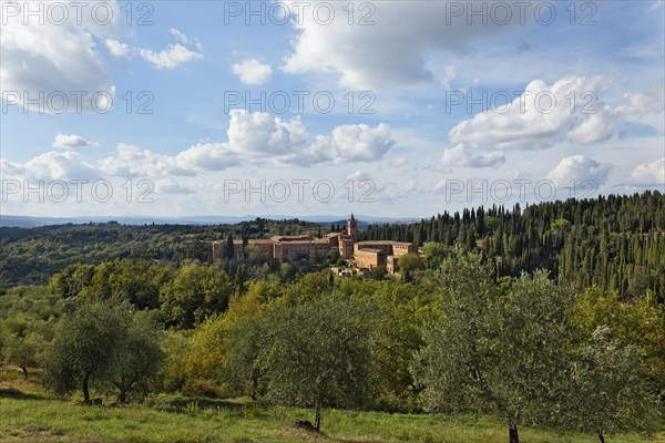 Crete Senesi