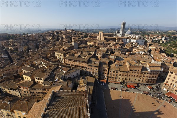 View from Torre del Mangia