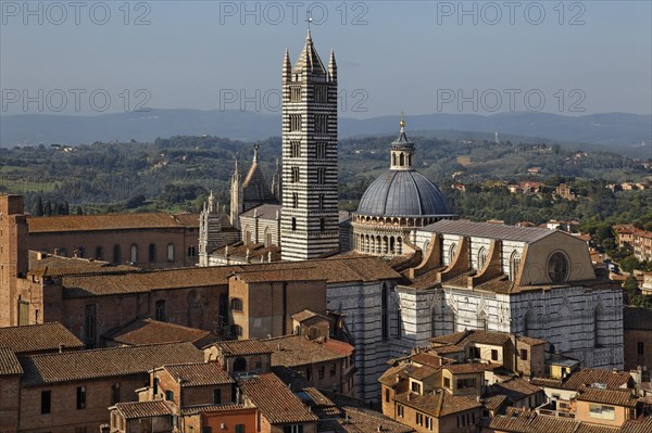 View from Torre del Mangia