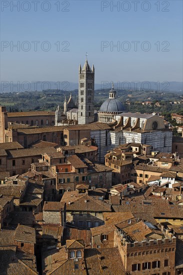 View from Torre del Mangia