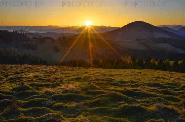 Sunrays over an alpine pasture at sunset