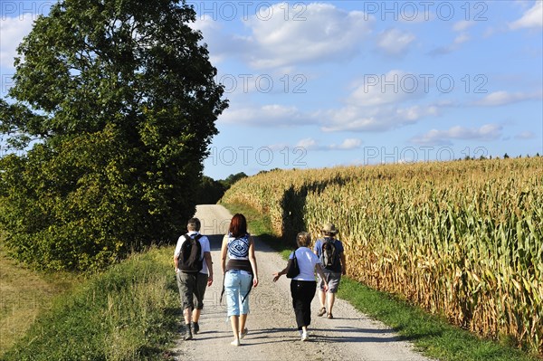 Hikers in the Franconian countryside