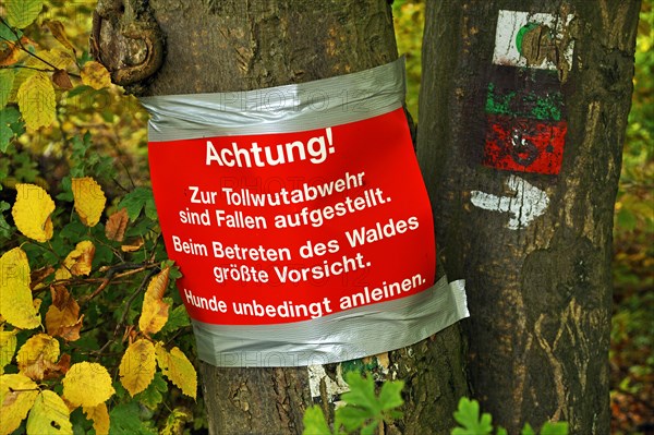 Warning sign on a tree