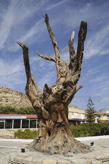 Face carved in a tree by hippies