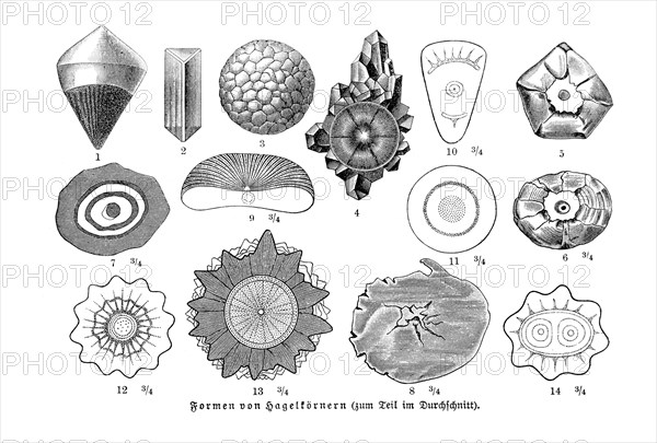 Forms of hailstones