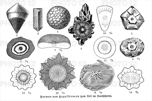 Forms of hailstones