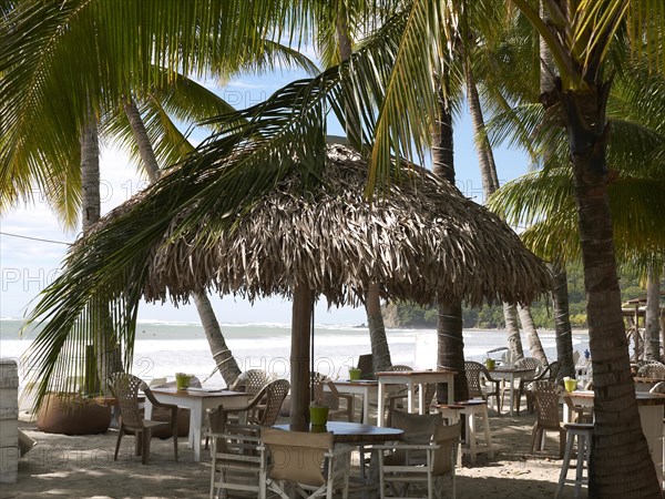 Beach bar with palm trees