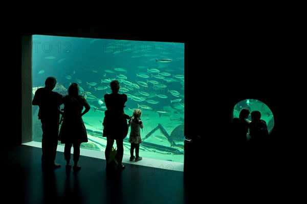 Visitors in front of a aquarium