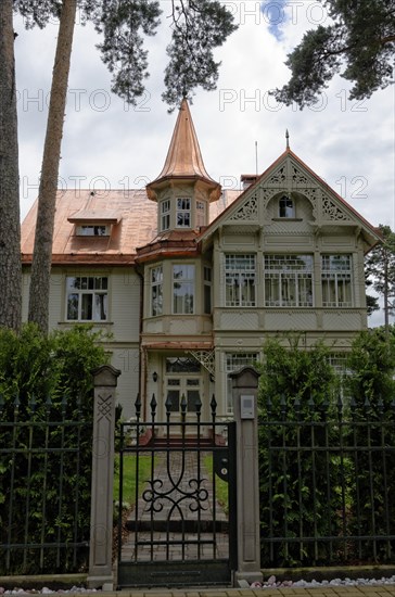 Wooden villa with a copper roof