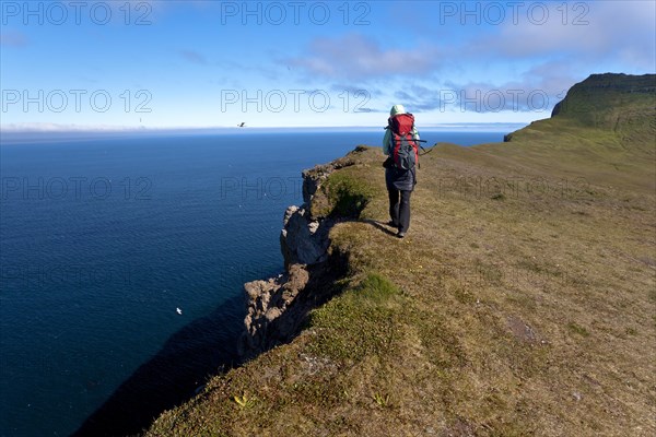 Hiker on a cliff near Hornstrandir