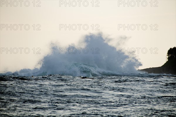 Storm waves in the Gulf of Alaska