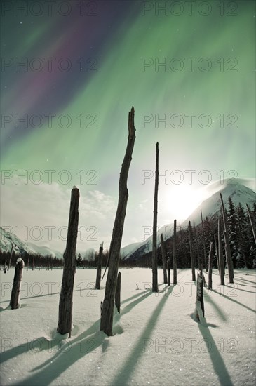 Moonlight and aurora in Portage Valley