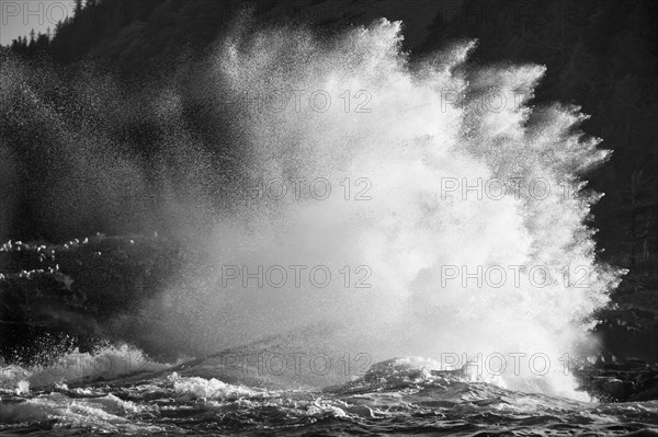 Storm wave along the Gulf of Alaska