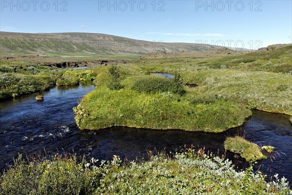 Creek in Sprengisandur landscape