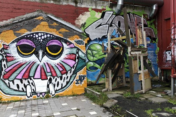 Wall graffiti