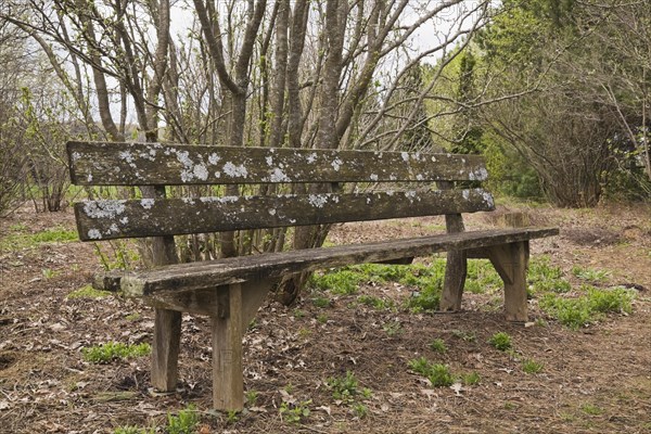 An old wooden bench in the 'Jardin du Grand Portage' garden in spring