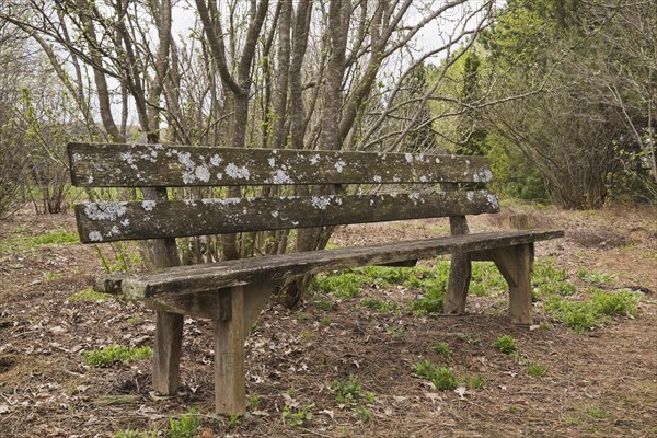 An old wooden bench in the 'Jardin du Grand Portage' garden in spring