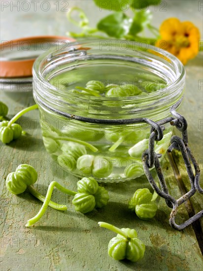 Nasturtium seeds being pickled