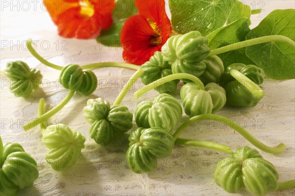 Fresh nasturtium flowers