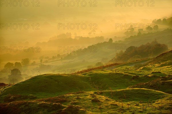 Rosedale in morning light