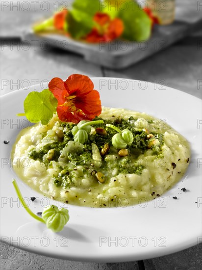 Nasturtium pesto risotto