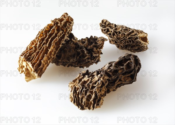 Dried Jumbo Morel mushrooms