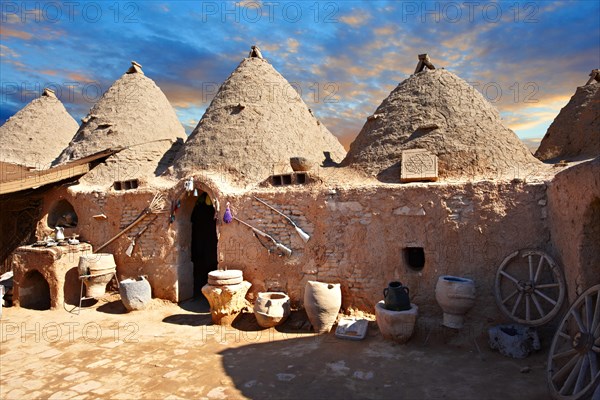 Beehive adobe buildings of Harran