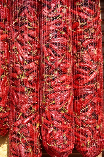 Chili peppers (Capsicum annuum) drying to make Hungarian paprika