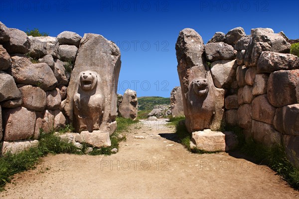 Hittite relief sculpture on the Lion gate to the Hittite capital