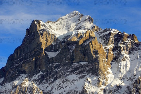 Alpine slopes looking towards the Wetterhorn