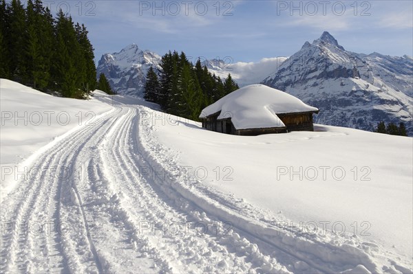 Toboggan run in the snow in the mountains near Grindelwald First