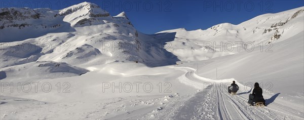 Toboggans in snow in the mountains near Grindelwald First