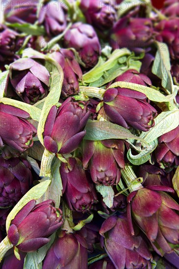 Artichokes