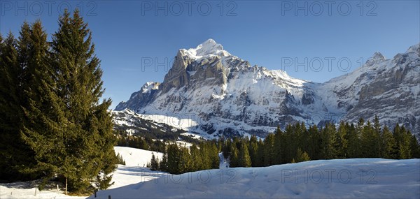 Alpine slopes with snow looking towards the Wetterhorn Mountain