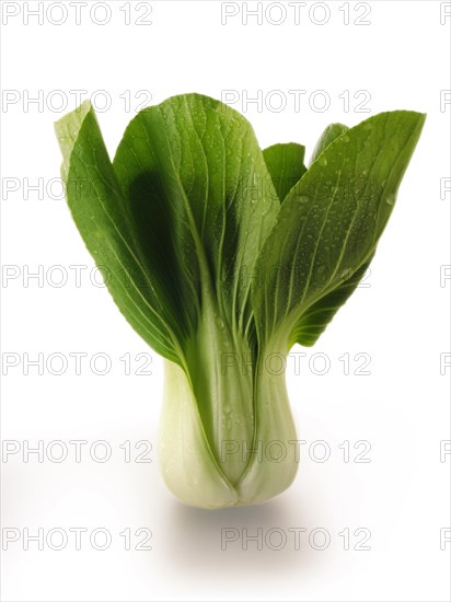 Pak Choi