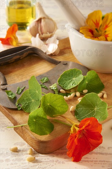 Ingredients for nasturtium-pesto