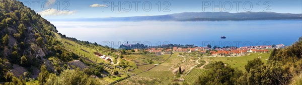 View of Bol and its vineyards looking towards Hvar island