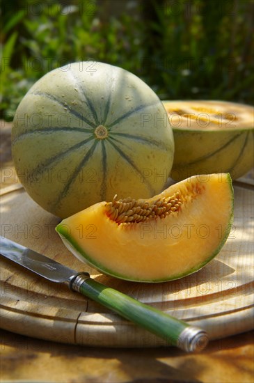 Charentais melon