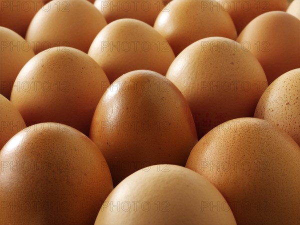 Fresh brown free range eggs