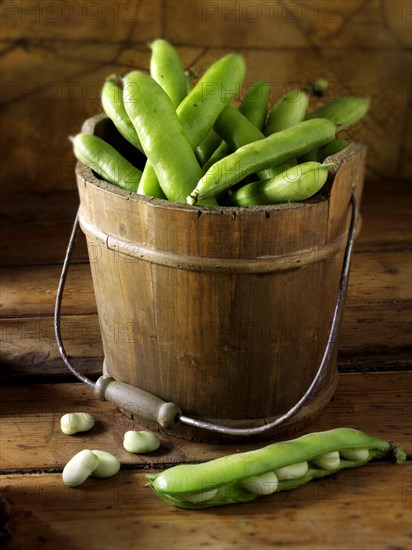 Fresh broad beans in the pod