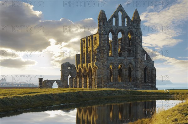 Whitby Abbey