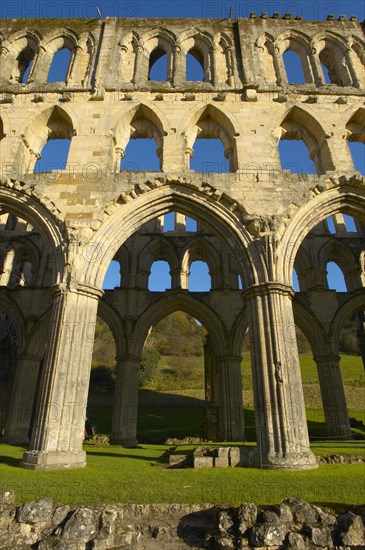 Rievaulx Abbey main aisle arches and windows