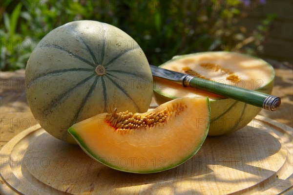 Charentais melon