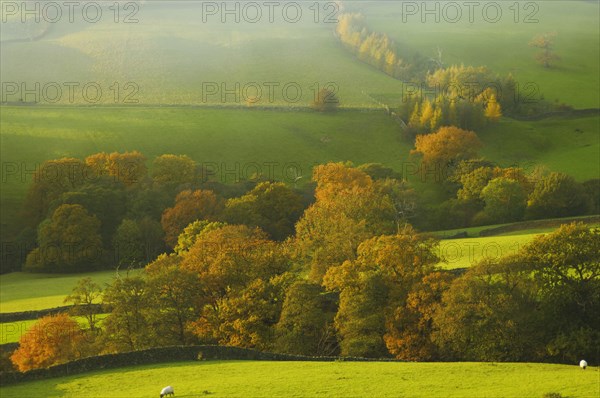 Farndale farm with autumn colours in evening light