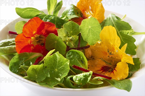 Fresh nasturtium flowers and leaves in a salad